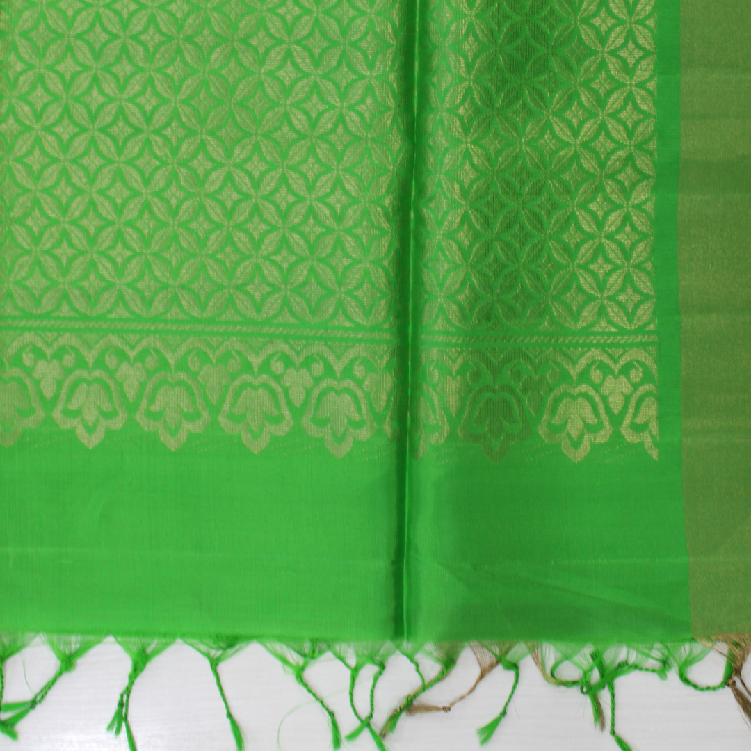 Mallikarjuna’s kanjivaram silk saree