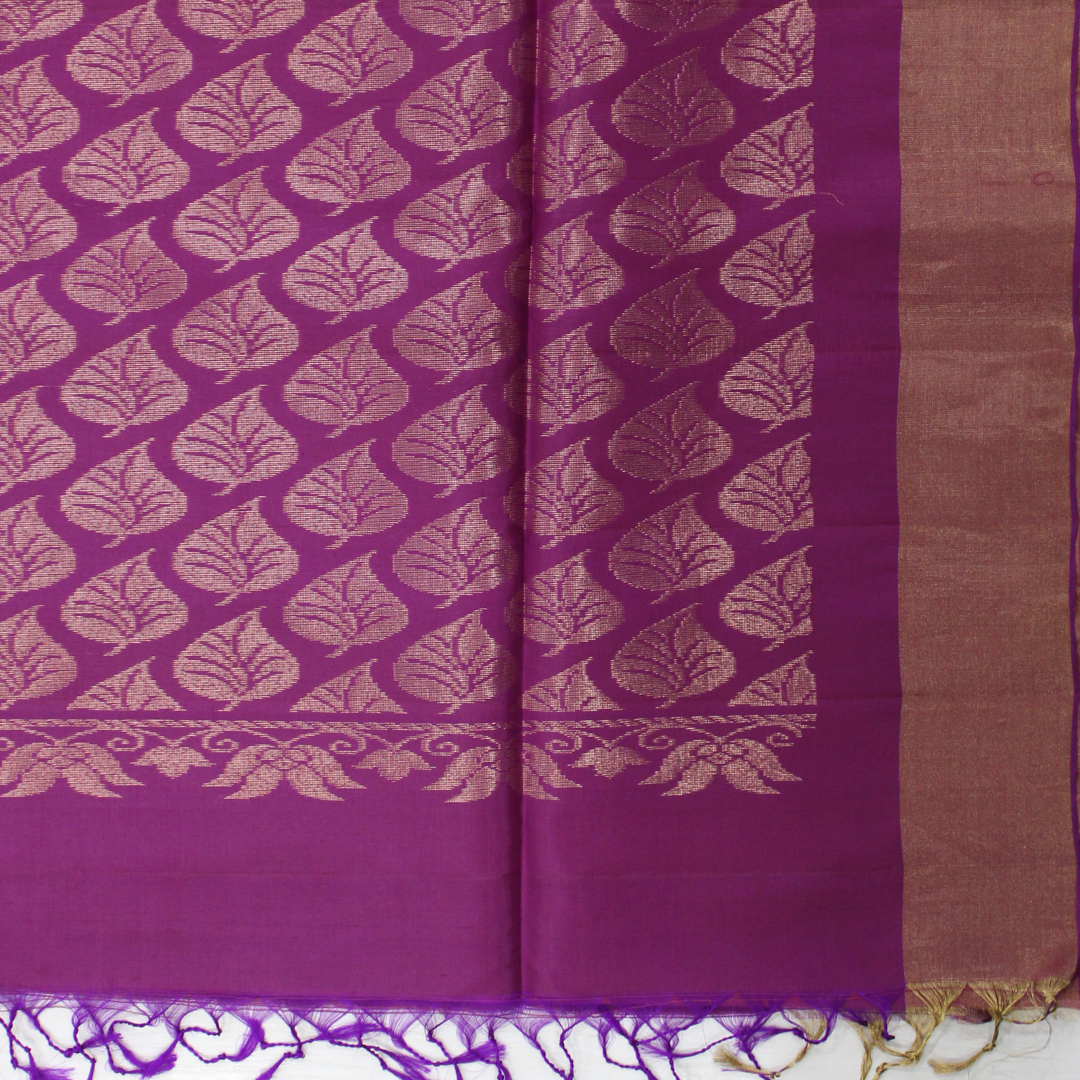 Mallikarjuna’s kanjivaram silk saree