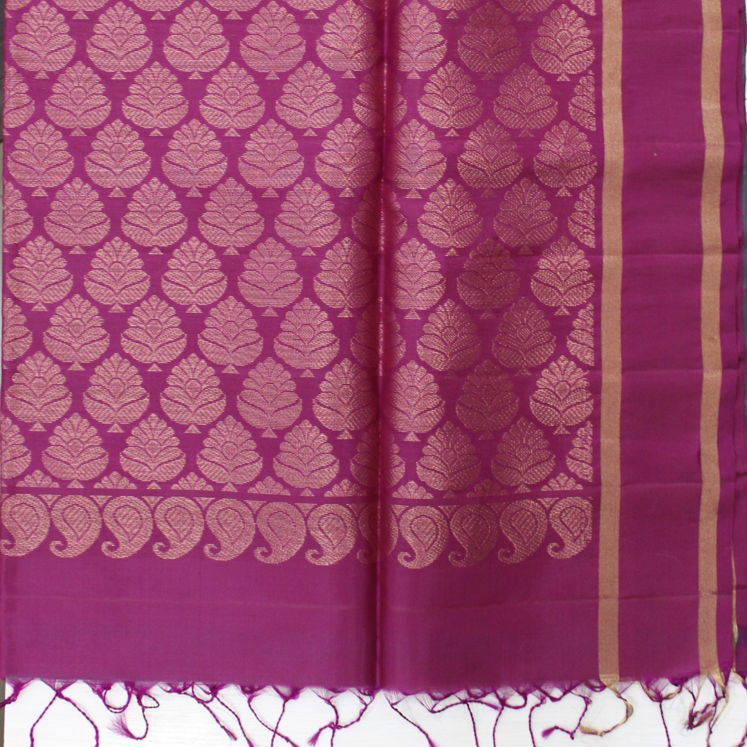 Mallikarjuna’s kanjivaram silk saree