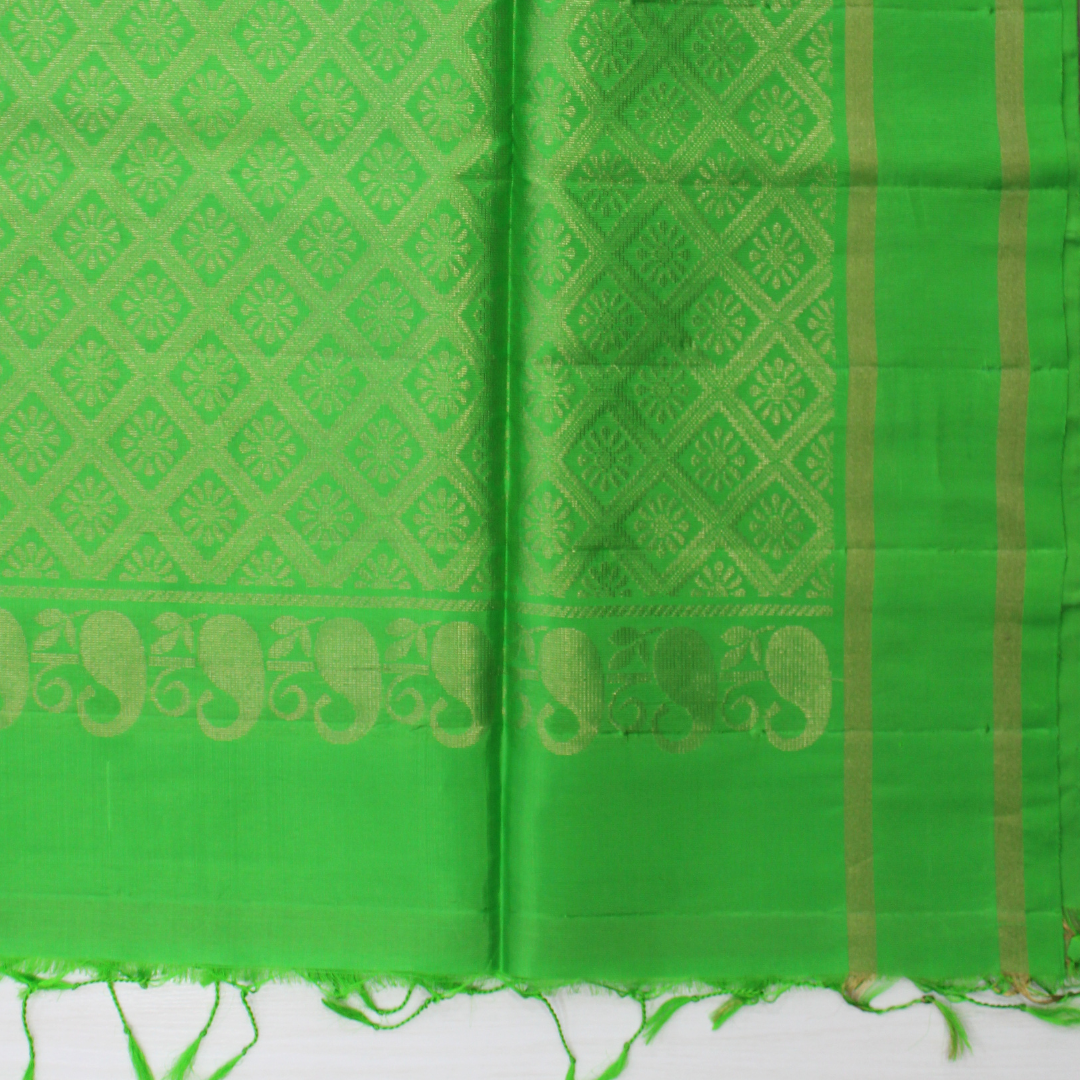 Mallikarjuna’s kanjivaram silk saree