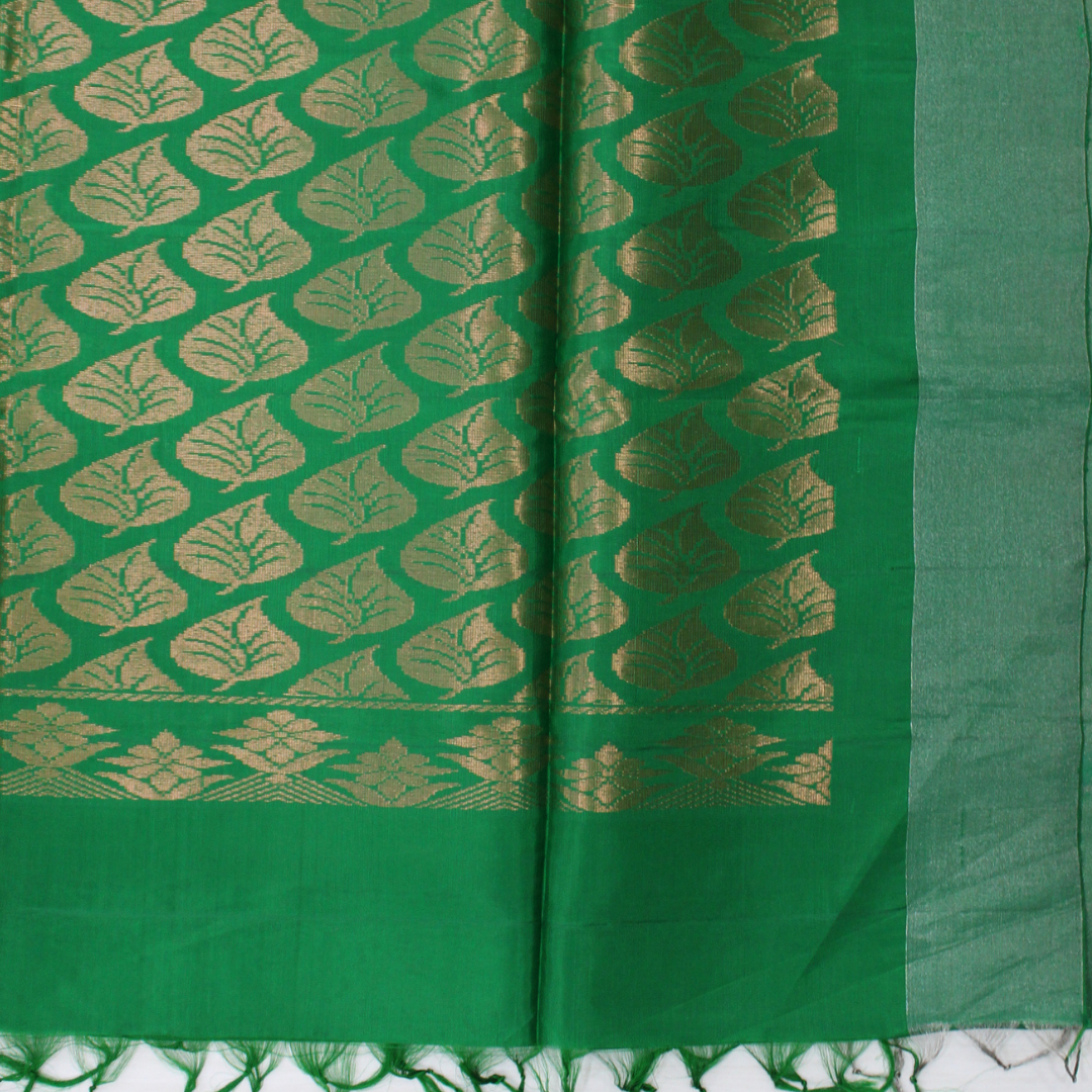 Mallikarjuna’s kanjivaram silk saree