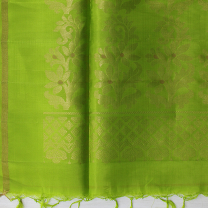 Mallikarjuna’s kanjivaram silk saree