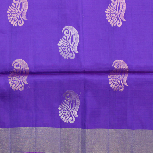 Mallikarjuna’s kanjivaram silk saree